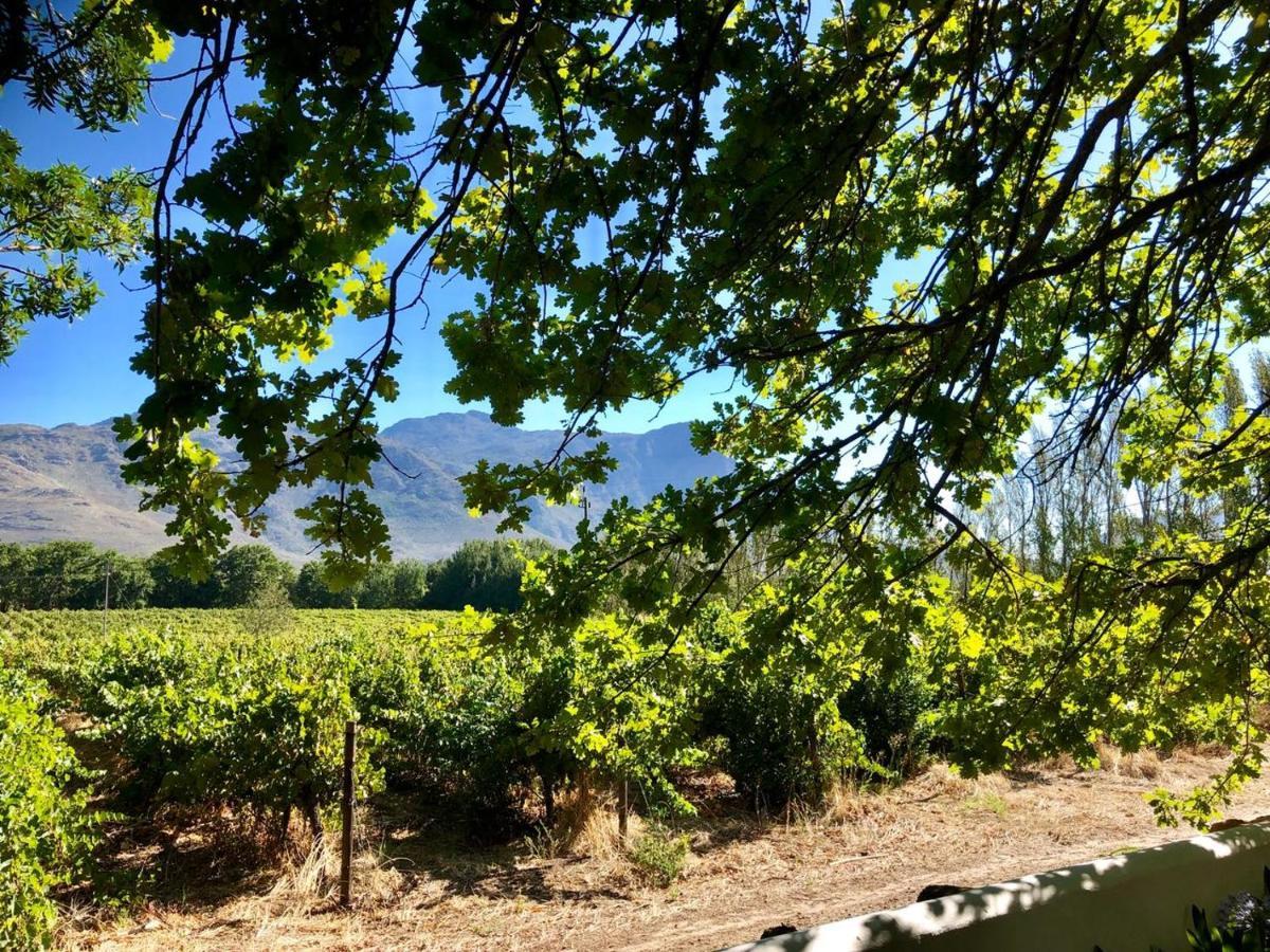 Le Manoir De Brendel Acomodação com café da manhã Franschhoek Exterior foto