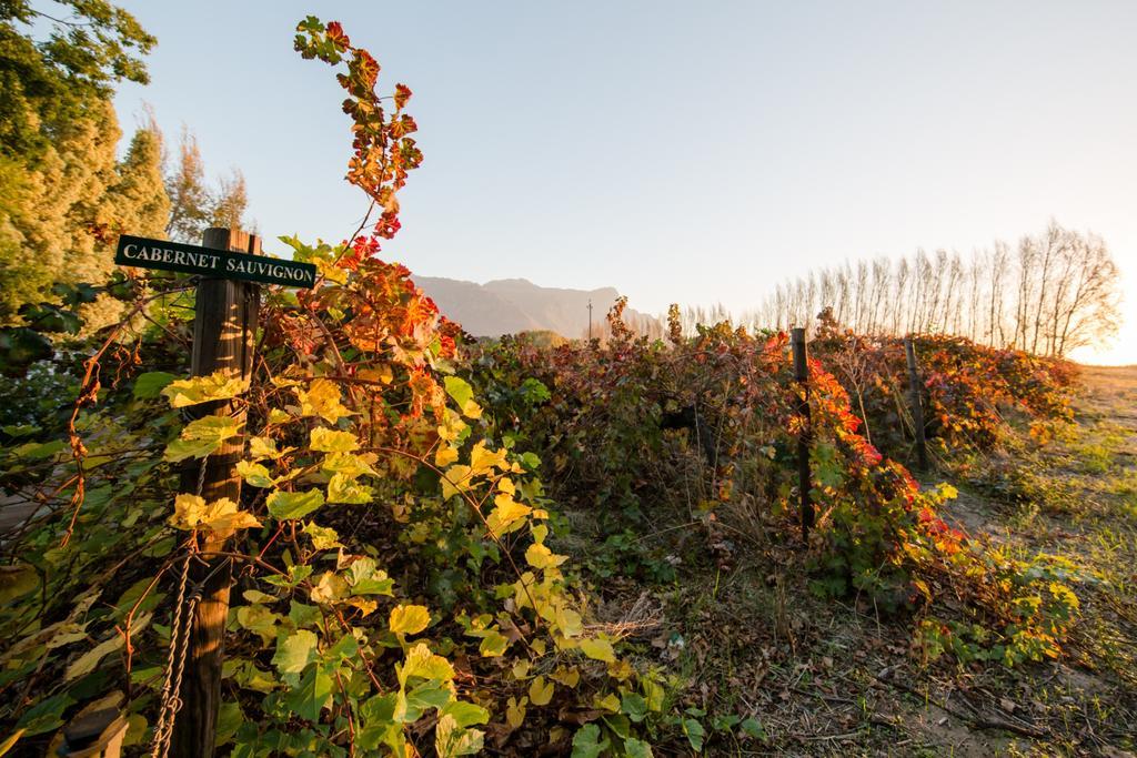 Le Manoir De Brendel Acomodação com café da manhã Franschhoek Exterior foto