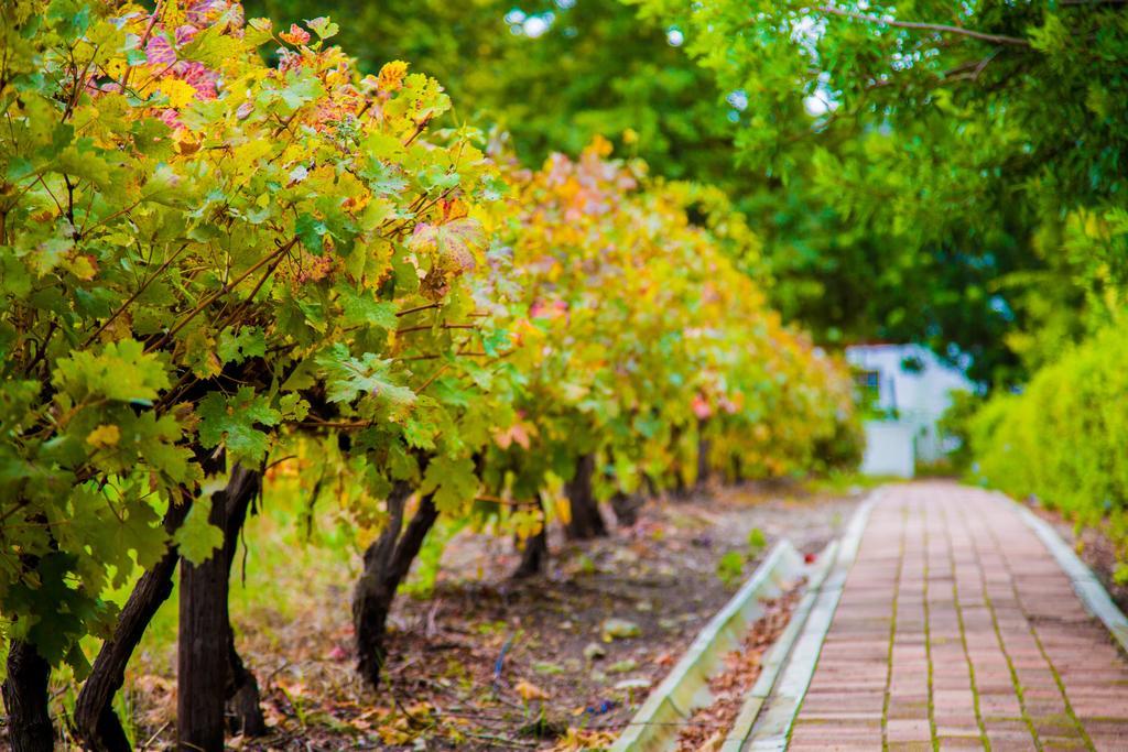 Le Manoir De Brendel Acomodação com café da manhã Franschhoek Exterior foto